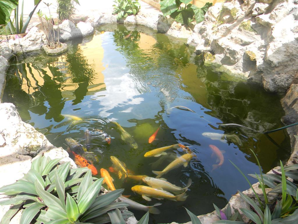 Hacienda Coba Bed & Breakfast 外观 照片