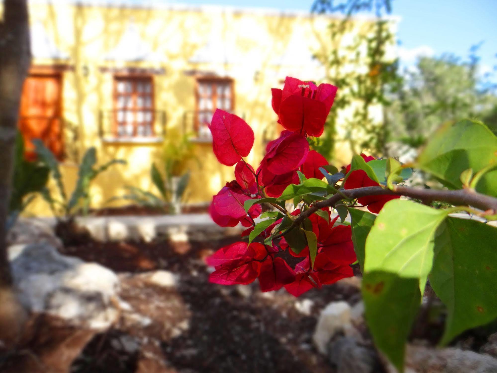 Hacienda Coba Bed & Breakfast 外观 照片