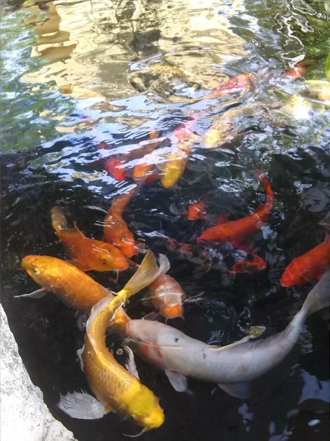 Hacienda Coba Bed & Breakfast 外观 照片